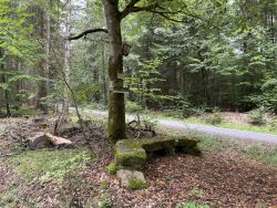 Brendelbank 05