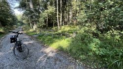Brunnenwegquelle 02