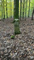 Grenzsteine 1 02