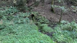 Kalter Brunnen 01