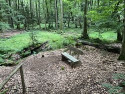 Laibachquelle 02