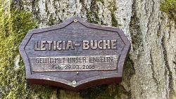 Leticia Buche 03