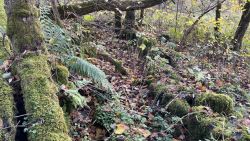 Muehle 07