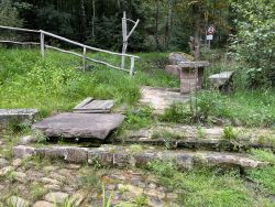 Riedemichbrunnen 08