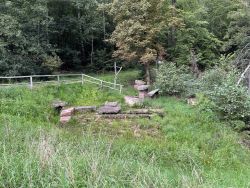Riedemichbrunnen 01