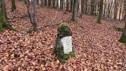 Schiesser Gedenkstein 04