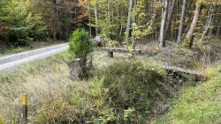 Steinerne Bank 01
