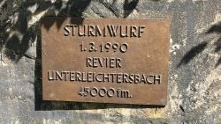 Sturmwurfstein 06