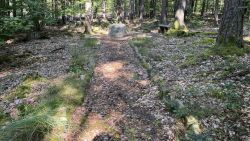 Sutersstein 13
