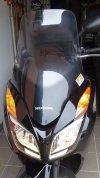 windschild