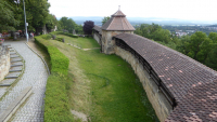 bamberg 16