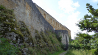 bamberg 40