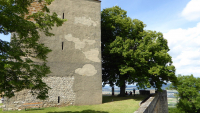bamberg 46