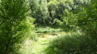 hegkopfsee 1