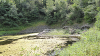 hegkopfsee 4