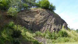 lindenstumpf 3