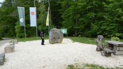 IMG 019