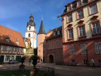 erbach 21