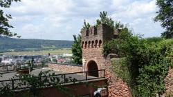 erlenbach 25