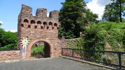 erlenbach 27