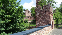 erlenbach 29