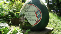 erlenbach 33