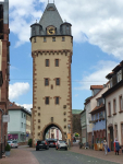 erlenbach 49