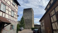 IMG 8891