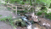 kahlquellen 02