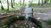 kahlquellen 04