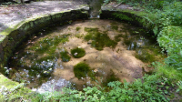 kahlquellen 07