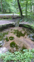 kahlquellen 08