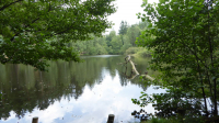 kahlquellen 12