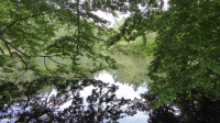 kahlquellen 13