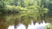 kahlquellen 16