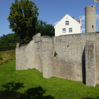 buechold 04