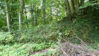 harrbach 02
