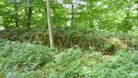 harrbach 03