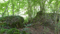 harrbach 04