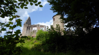 schoenrain 01