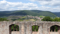 schoenrain 08