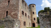 schoenrain 10