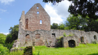 schoenrain 11