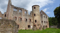 schoenrain 12