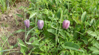 05