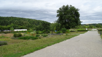 DSC027