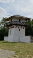 DSC049