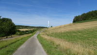 DSC142