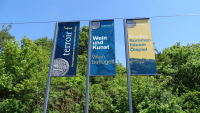 sommerhausen 1