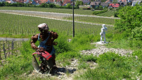 sommerhausen 2